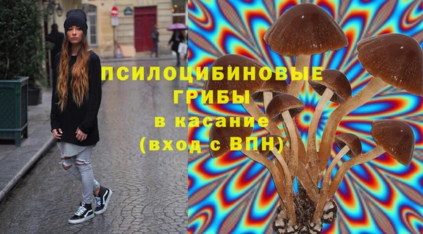ПСИЛОЦИБИНОВЫЕ ГРИБЫ Навашино