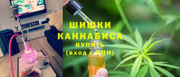 ПСИЛОЦИБИНОВЫЕ ГРИБЫ Навашино