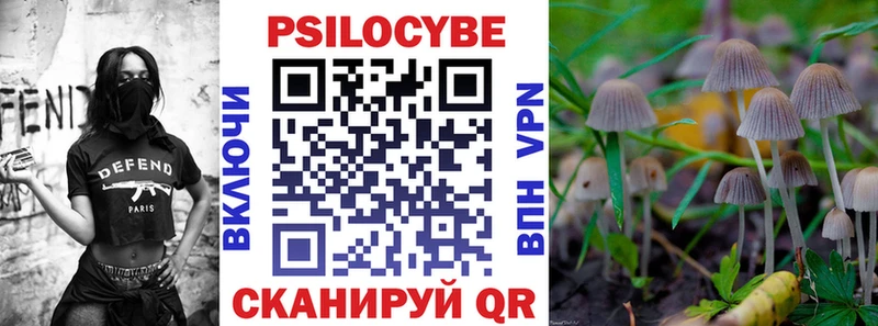 Псилоцибиновые грибы прущие грибы как найти Рязань